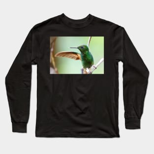 Buff-Tailed Coronet Bird Long Sleeve T-Shirt